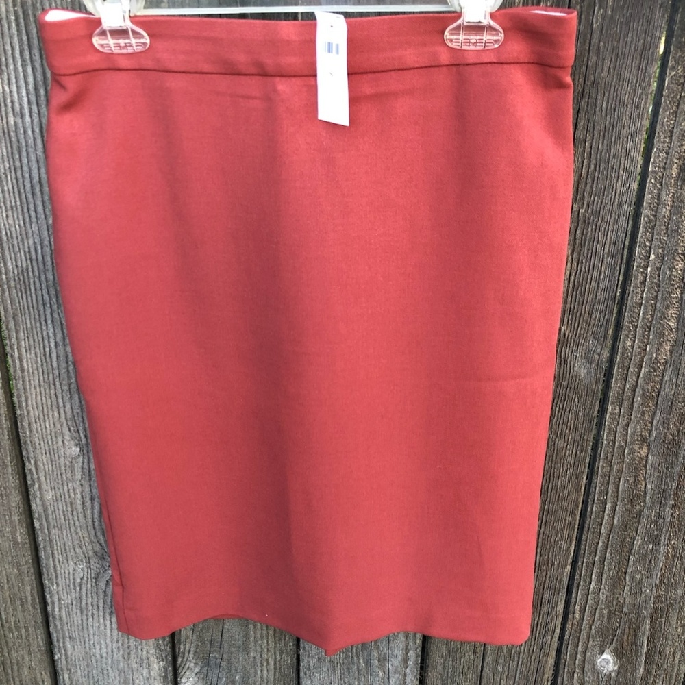 Ann Taylor Size 8 Skirt